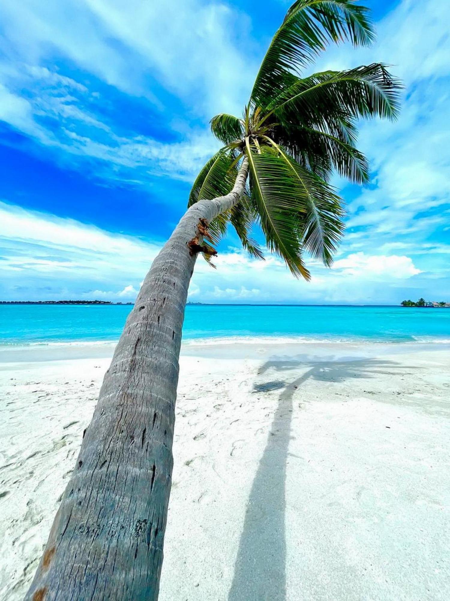 Wind Breeze Sunset View Inn Guraidhoo  Exterior foto